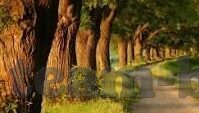 2.4足球完场比分-2.4足球完场比分，绿茵场上的终极悬念与激情释放